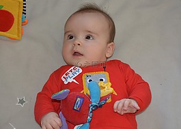 兒童,男孩,嬰兒