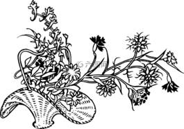 籃,花的,花
