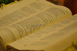 圣經(jīng),書,文學(xué)