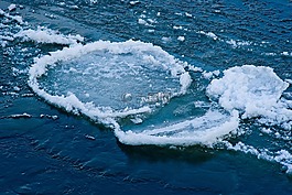 春天,浮冰,水