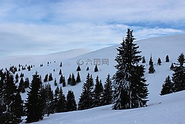 冬天,天空,雪