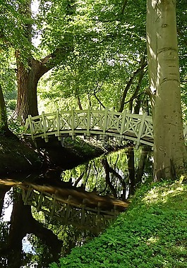 橋,森林,性質(zhì)