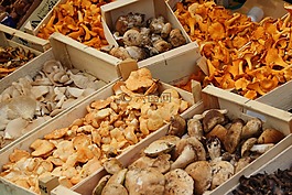蘑菇,chanterelles,市場