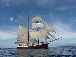 船舶,tallship,高高的船