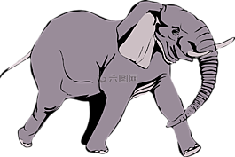 象,野生,動物