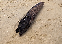 海灘,沙,海