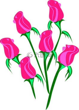 玫瑰,芽,花束