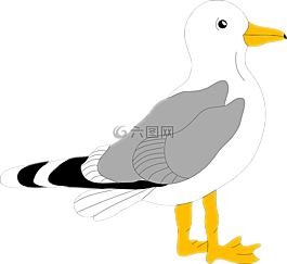 海鷗,鳥,立場(chǎng)