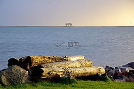 海,島,海岸