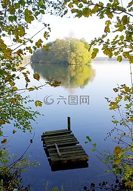 湖,樹木,景觀