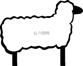 羊肉,動(dòng)物,羊毛