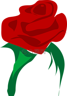 玫瑰,愛,花