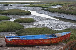 引導(dǎo),落潮,海岸