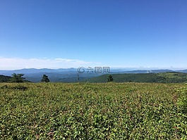 格雷森的高地,弗吉尼亞州,草甸