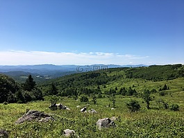 格雷森的高地,弗吉尼亞州,草甸