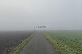 霧,耕地,草地