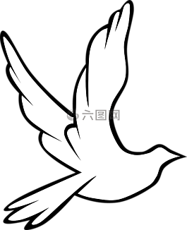 鴿子,鳥,符號(hào)