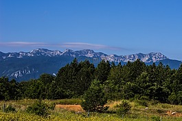 山,森林,景觀