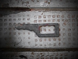 密鑰,老,葡萄收獲期
