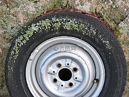 車輪,地衣,苔