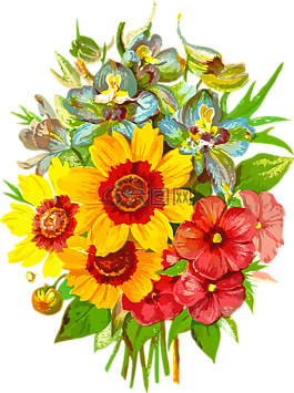 植物區(qū)系,花的,花