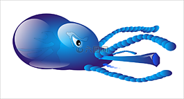 魷魚,海,動(dòng)物