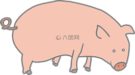 豬,粉紅色,農(nóng)場(chǎng)