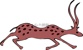 鹿,發(fā)現(xiàn),動(dòng)物