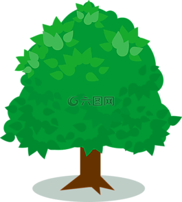 綠色,植物,樹