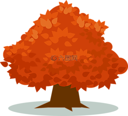 橙色,植物,樹(shù)