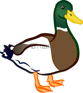 動物,鳥,鴨
