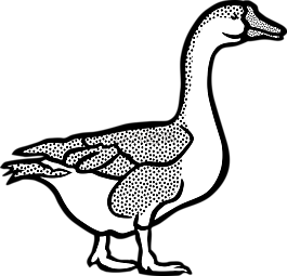 動物,農(nóng)場,鵝