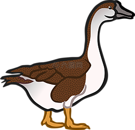 動物,農(nóng)場,鵝