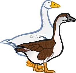 動物,農(nóng)場,鵝