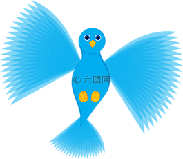 鸽子,飞,飞行