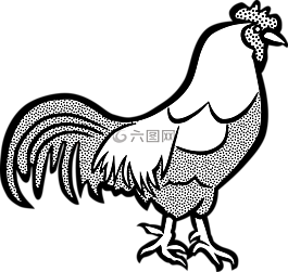 雞,公雞,農(nóng)場