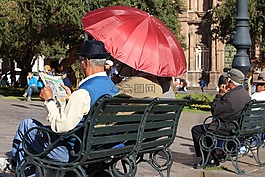 公園長(zhǎng)椅,報(bào)紙,讀取