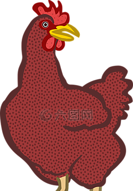 動物,雞,農(nóng)場