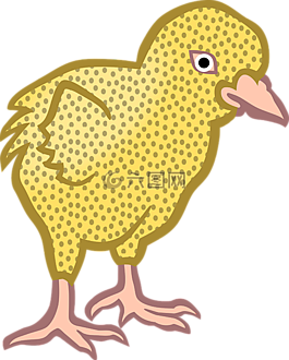 動物,小雞,雞