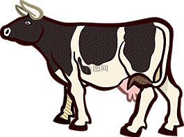 動(dòng)物,牛,農(nóng)場(chǎng)