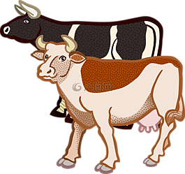 動物,牛,農(nóng)場