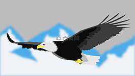 動物,鳥,鷹