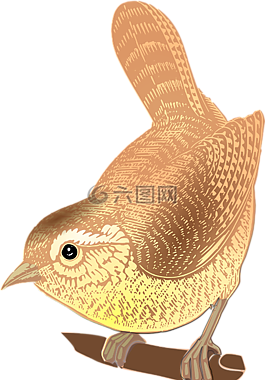 鳥,坐,動物