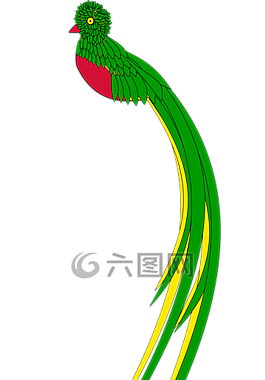 動(dòng)物,鳥(niǎo),危地馬拉