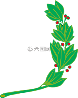 枝杈,月桂樹,葉