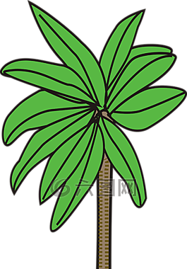 棕櫚,植物,樹