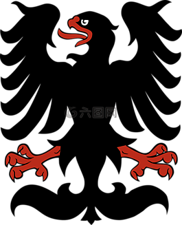 動(dòng)物,鳥(niǎo),鷹