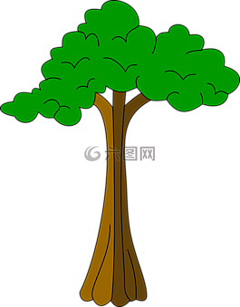 棉花,植物,絲綢