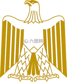動(dòng)物,鳥(niǎo),鷹