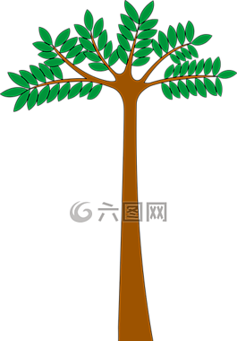 硬木,植物,樹